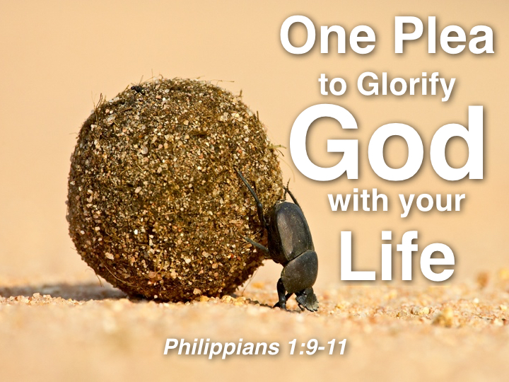 One Plea to Glorify God.001