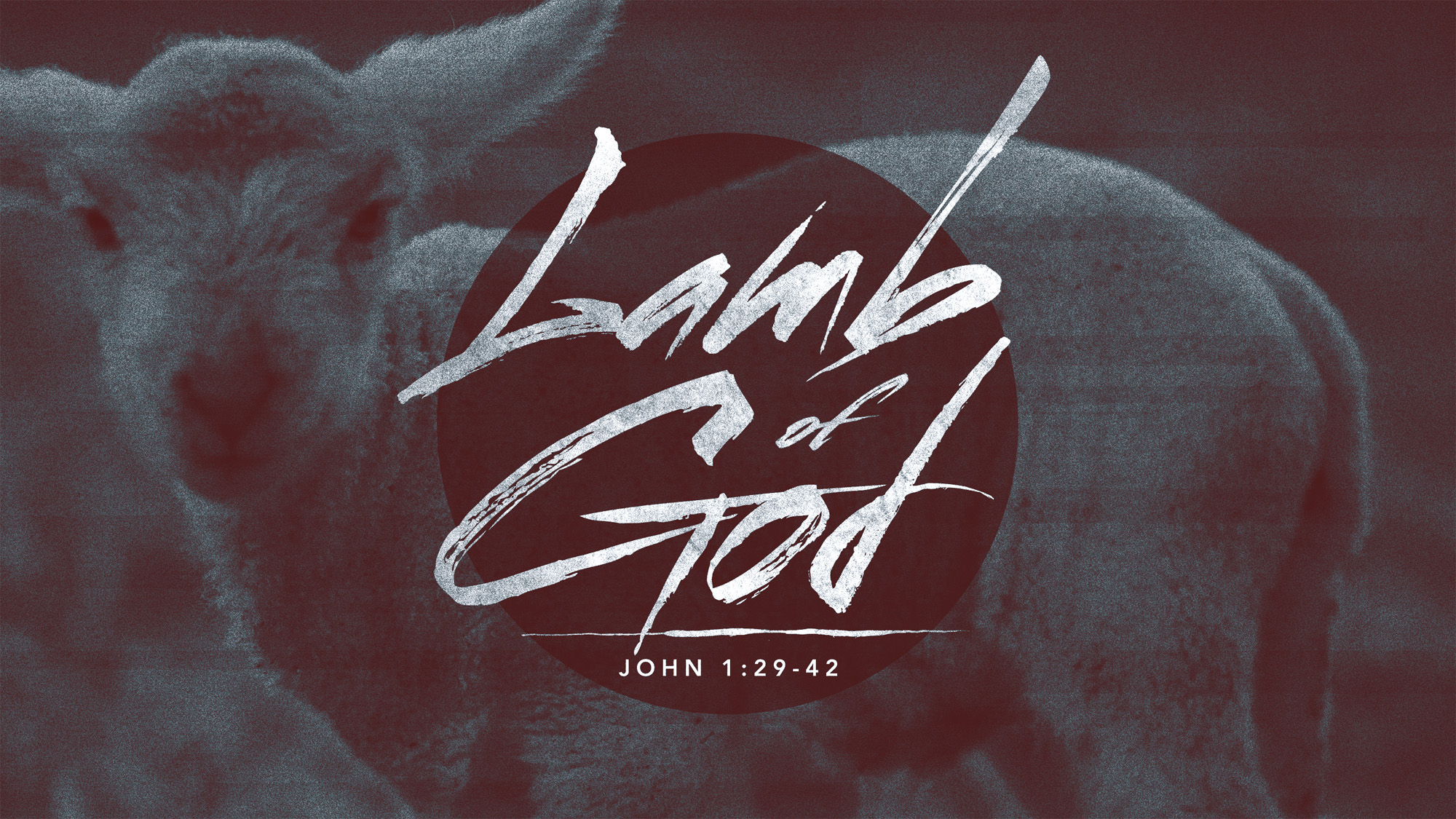 Lamb_of_God_wide_t