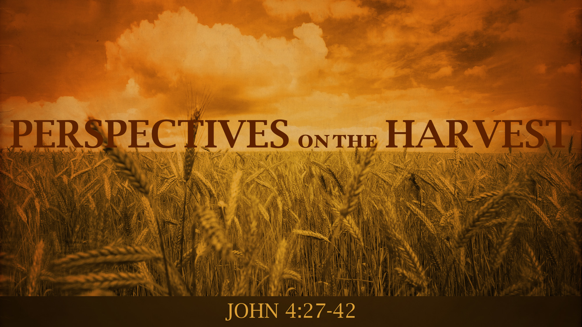 Perspectives on the Harvest.001
