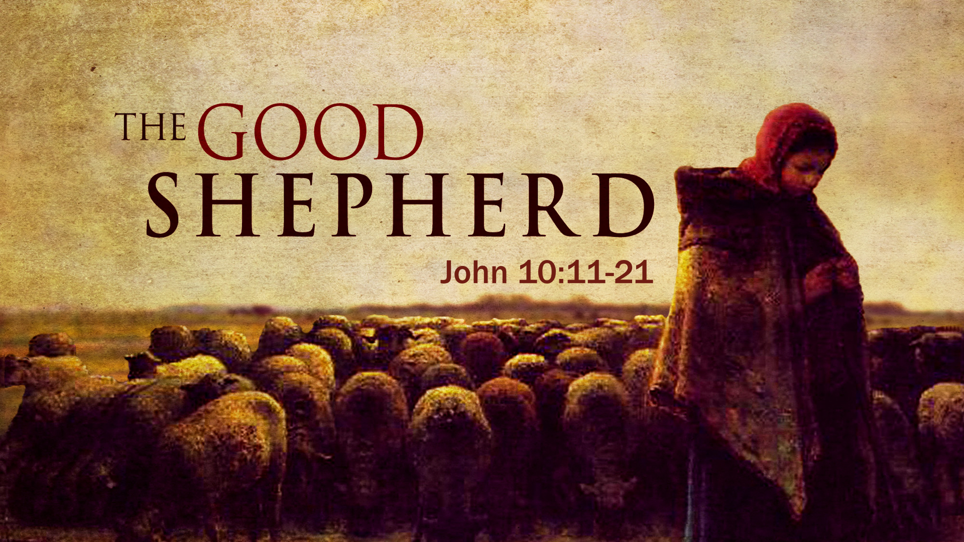 The Good Shepherd.jpg.001