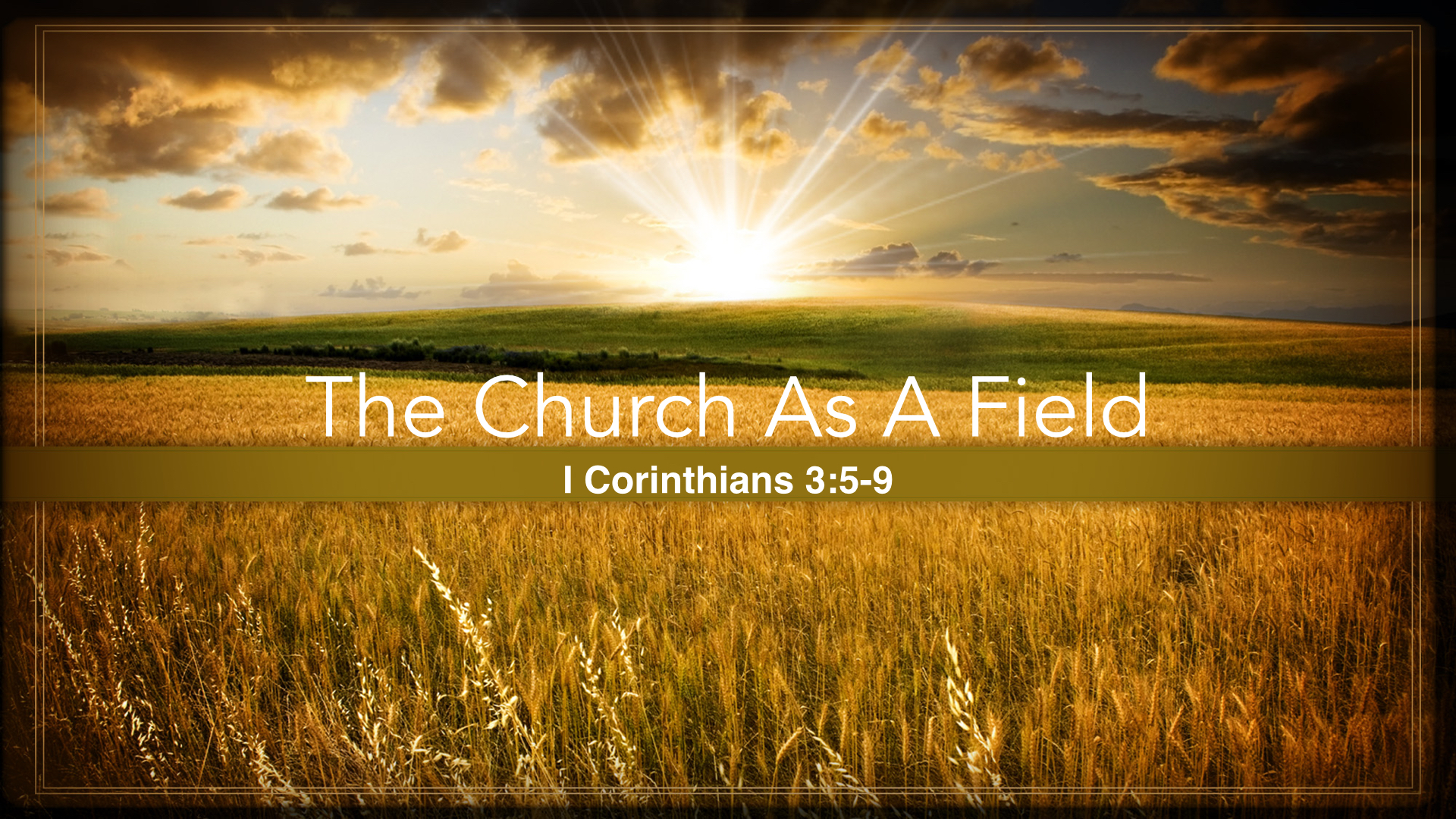 Church is a field.001